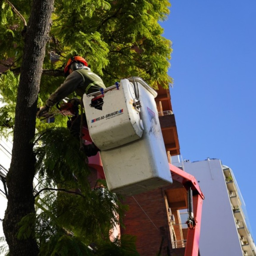 Vicente L&oacute;pez: Contin&uacute;a Abierta La Inscripci&oacute;n Al Plan De Poda 2026