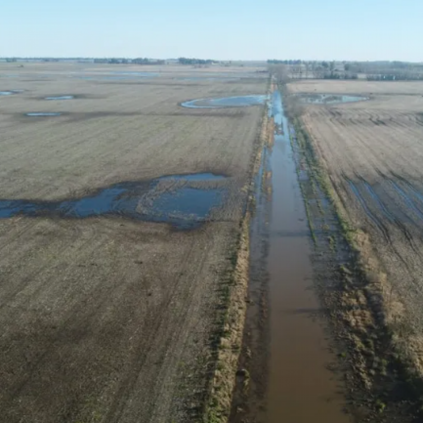La Provincia Prorrogó La Emergencia Agropecuaria En Dos Distritos Del Sudoeste