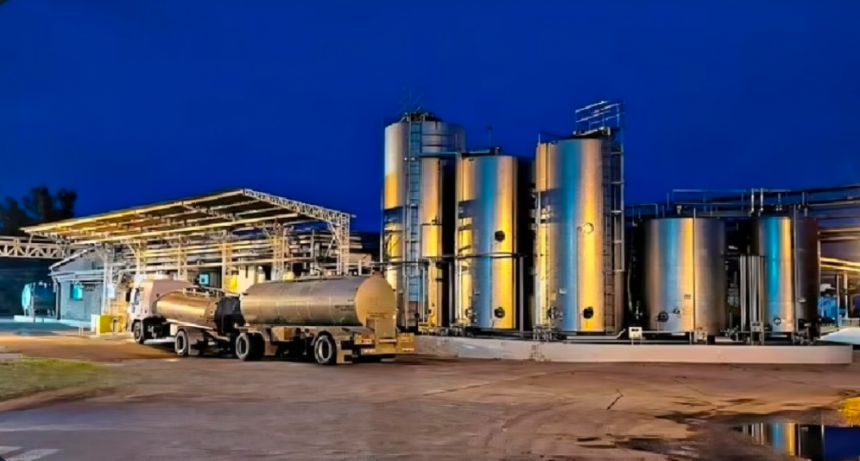 Quebró La Empresa Que Hacía Los Postres Shimmy De Sancor Y Echaron A 400 Trabajadores