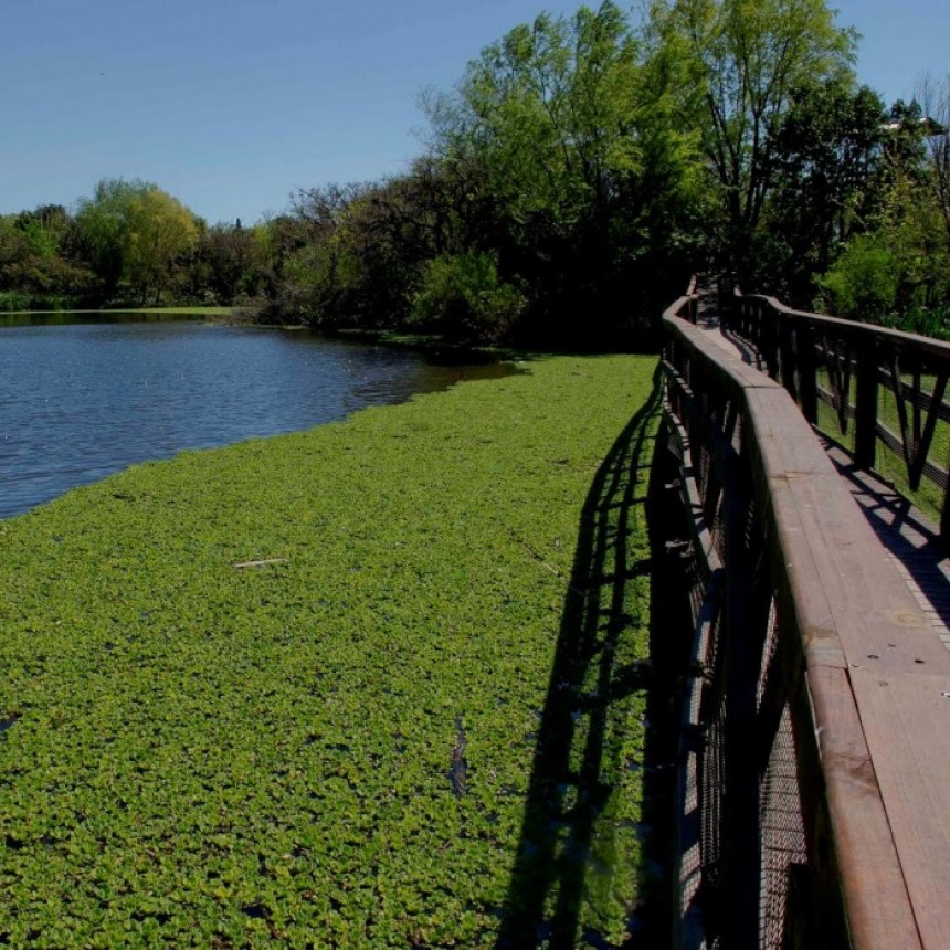 Reserva Ecológica De Vicente López: Nuevo Horario Para Visitarla