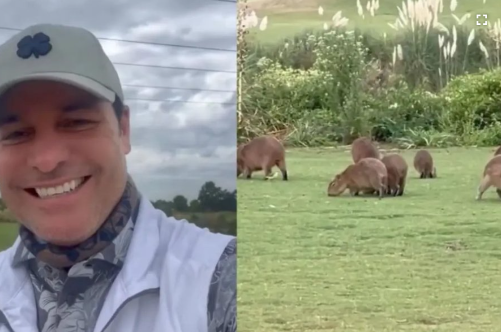 Chayanne Y Su Amor Por Los Carpinchos En Nordelta