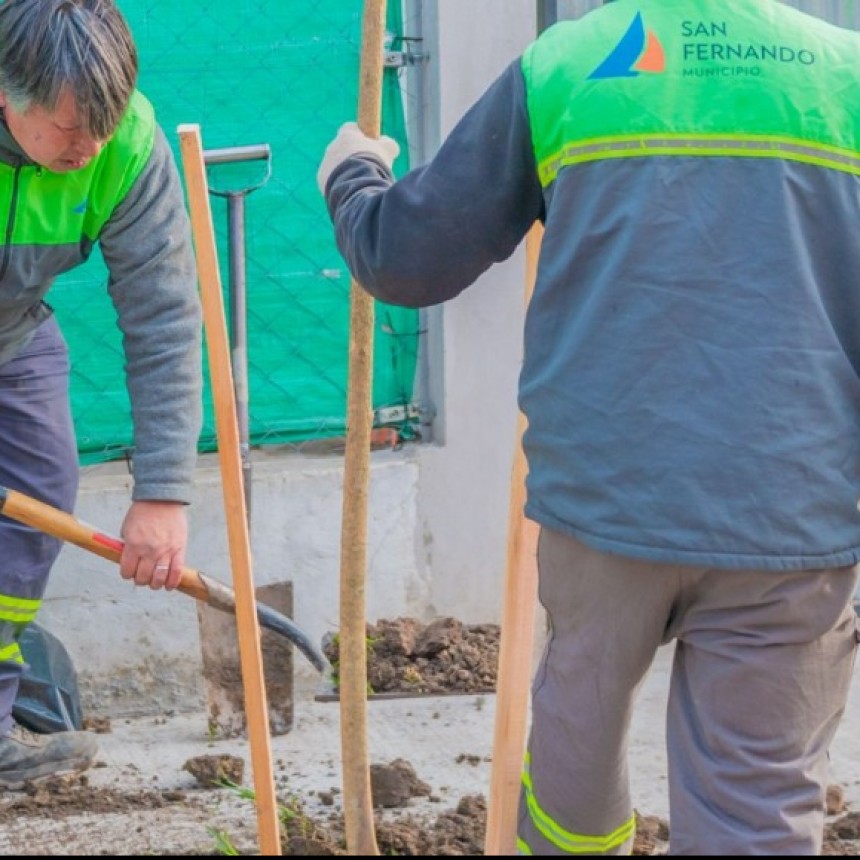 Plan De Forestacion En San Fernando