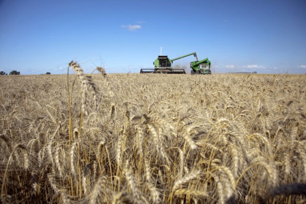 “No Hay Margen”: El Campo Renovó Sus Críticas Por La Suba De Las Retenciones