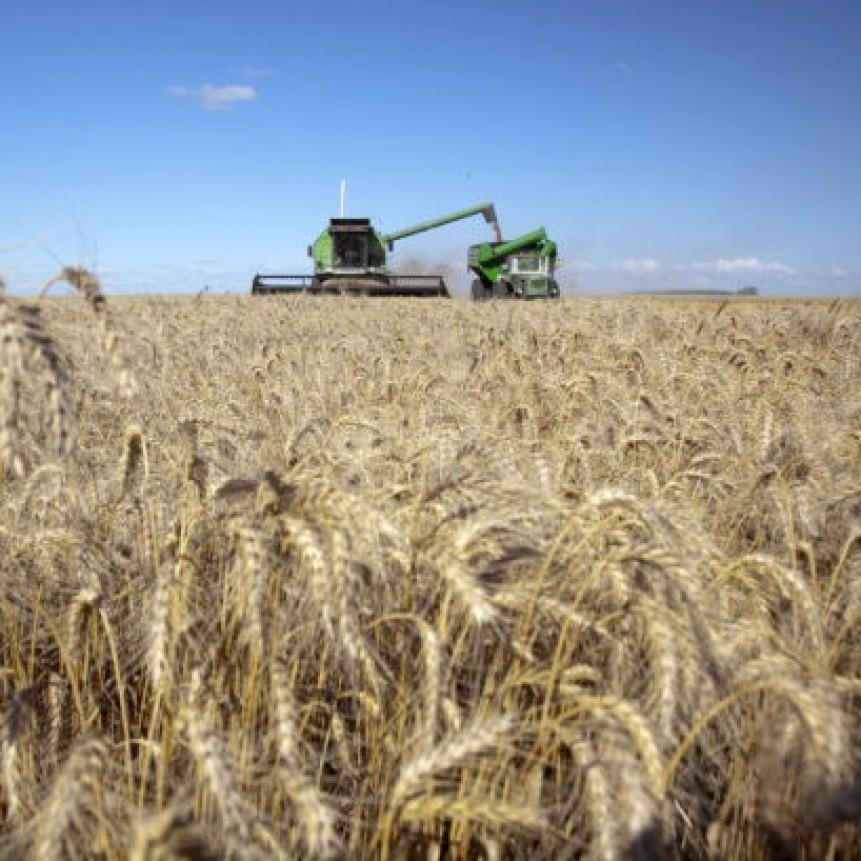 “No Hay Margen”: El Campo Renovó Sus Críticas Por La Suba De Las Retenciones