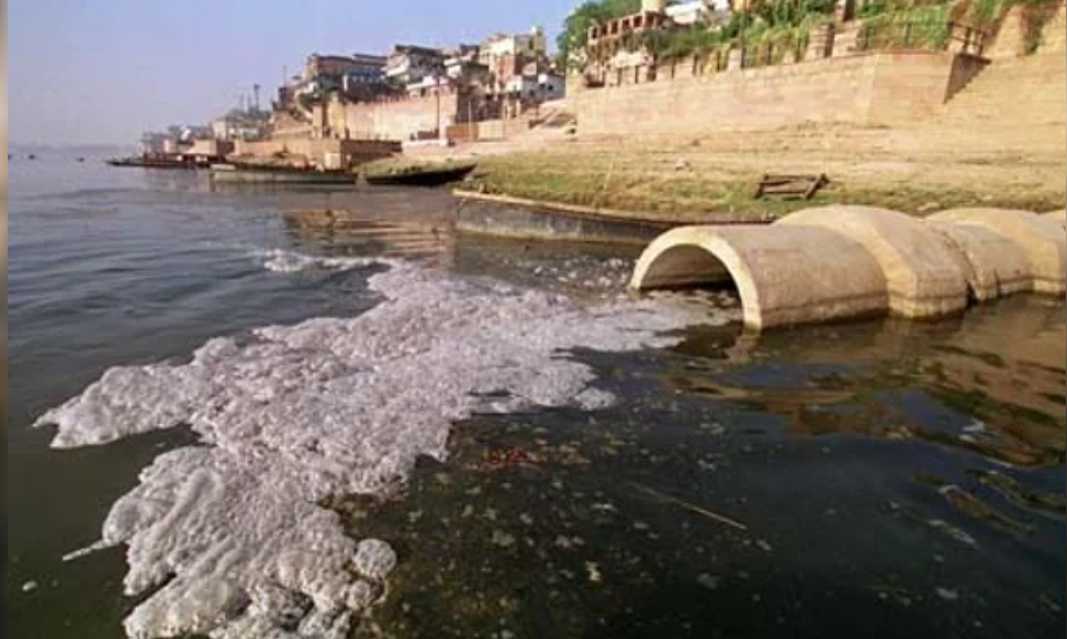 Confirman La Presencia De Viagra, Paracetamol E Ibuprofeno En El Río De La Plata